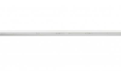 Cover image for Fern