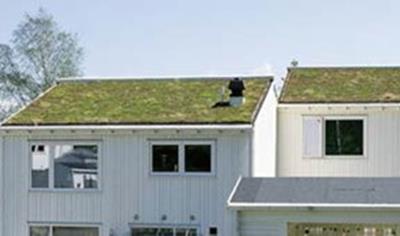 Cover image for Reinforced bitumen sheets for exposed roof waterproofing