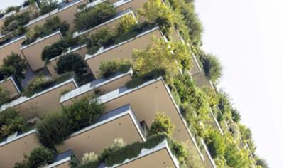 Cover image for C35/45 PILES XA2 31,5mm - Attica