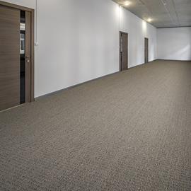 Cover image for TitanBac® Plus Broadloom Carpet