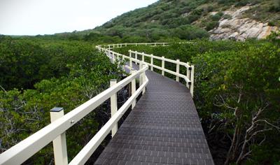 Cover image for Square Hollow Pultruded GFRP Section WGN-S1000