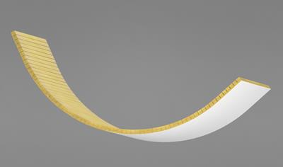 Cover image for Ecophon Focus Flexiform