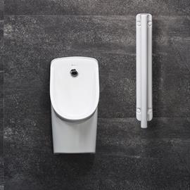 Cover image for Urinal