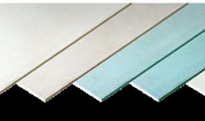 Cover image for Plasterboards (Amfilochia plant)