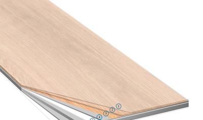 Cover image for Loose lay