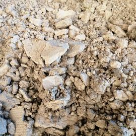 Cover image for Glassy sands 