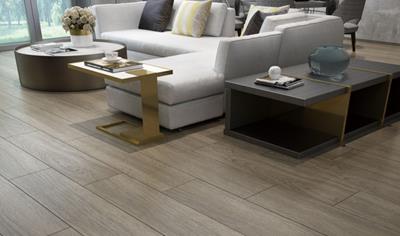 Cover image for WPC( Wood Plastic Composite‌)