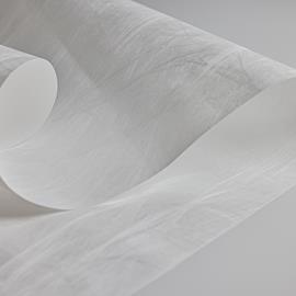 Cover image for Hypak™ HDPE Flash-spun nonwoven