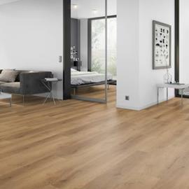 Cover image for SOLIDE CLICK 55 and RIGID 30 XL