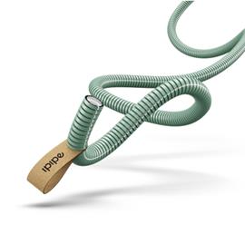 Cover image for Flexible pipes