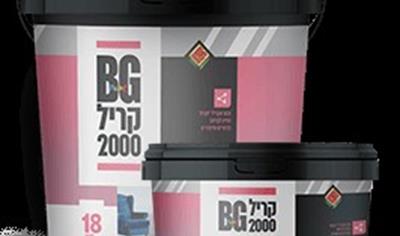 Cover image for BG CRYL 2000 paint