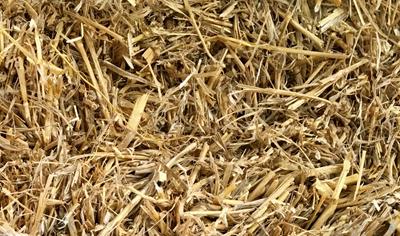 Cover image for Straw as insulation material - UK