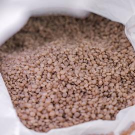 Cover image for Recycled General Purpose Polystyrene (GPPS) pellets