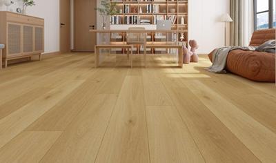 Cover image for Vinyl Flooring (LVT, SPC)