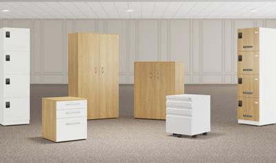 Cover image for Storage Systems