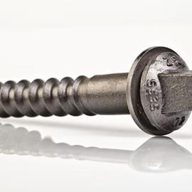 Cover image for Sleeper Screw