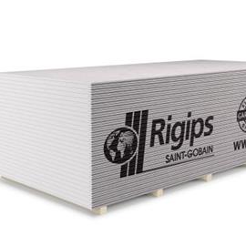 Cover image for Rigips® RB 12,5