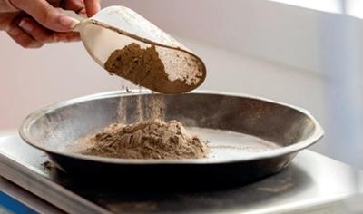 Cover image for FILLER #500 mesh