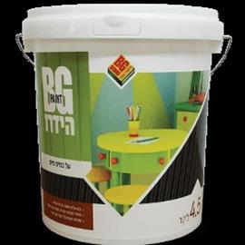 Cover image for BG Hydro paint