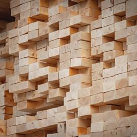 Cover image for Standard and special sawn timber