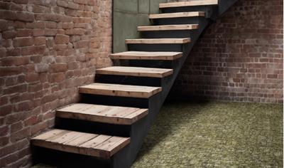 Cover image for Trinity Collection on Bitback