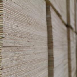 Cover image for Construction plywood sheets
