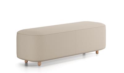 Cover image for Common bench