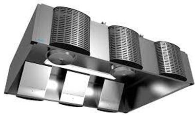 Cover image for Dish Canopies