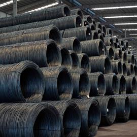 Cover image for  Wire Rod
