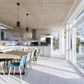 Cover image for Acoustic panels - unpainted Troldtekt 25 mm Natural Wood