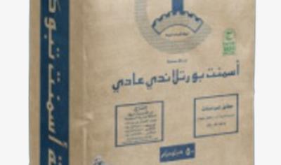 Cover image for Ordinary Portland Cement