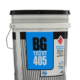 Cover image for BG 405