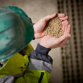 Cover image for Mineral Fertilisers