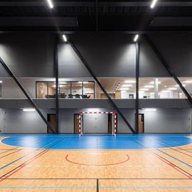 Cover image for Omnisports Heterogeneous vinyl flooring - Active + 