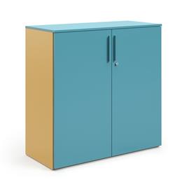 Cover image for Universal Storage Laminated Hinged doors 