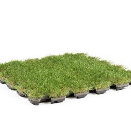 Cover image for ROOFINGREEN LEAF