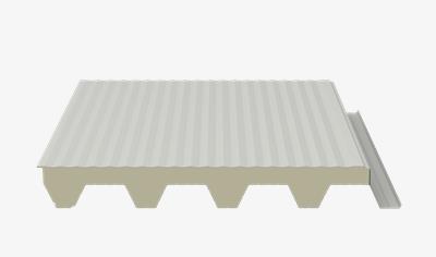 Cover image for Fortelia