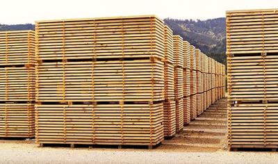 Cover image for Tabla aserrada de pino radiata