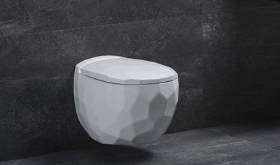 Cover image for WC Pan (Toilet Bowl)