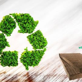 Cover image for NaturBoard FIT PLUS 