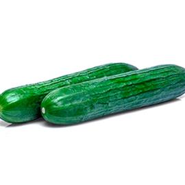 Cover image for Mini cucumber