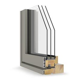Cover image for Windows