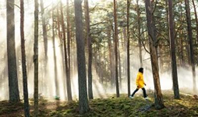 Cover image for Eurocoustic Tonga E (BE)