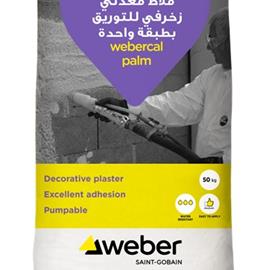 Cover image for webercal palm (KSA)