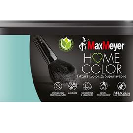 Cover image for Home Color