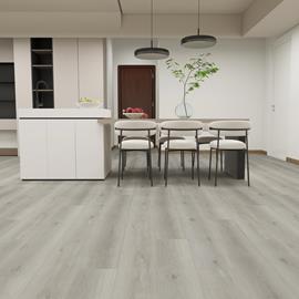 Cover image for LVT 2.5/0.5