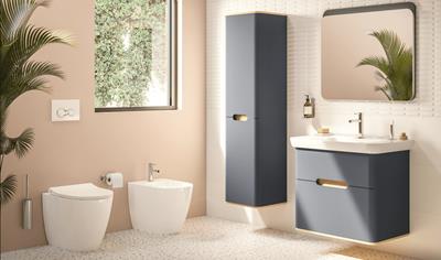 Cover image for Basin & Bidet Mixers 