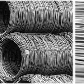 Cover image for TrueGreen Low Alloy Wire Rod Coils
