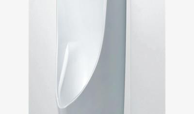 Cover image for Auto Flush Urinal