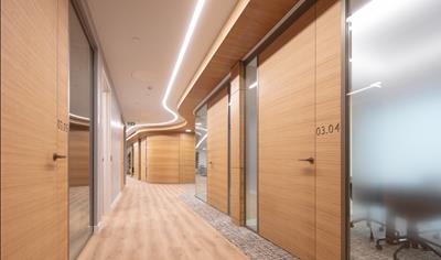 Cover image for Timber Pivoting Doors